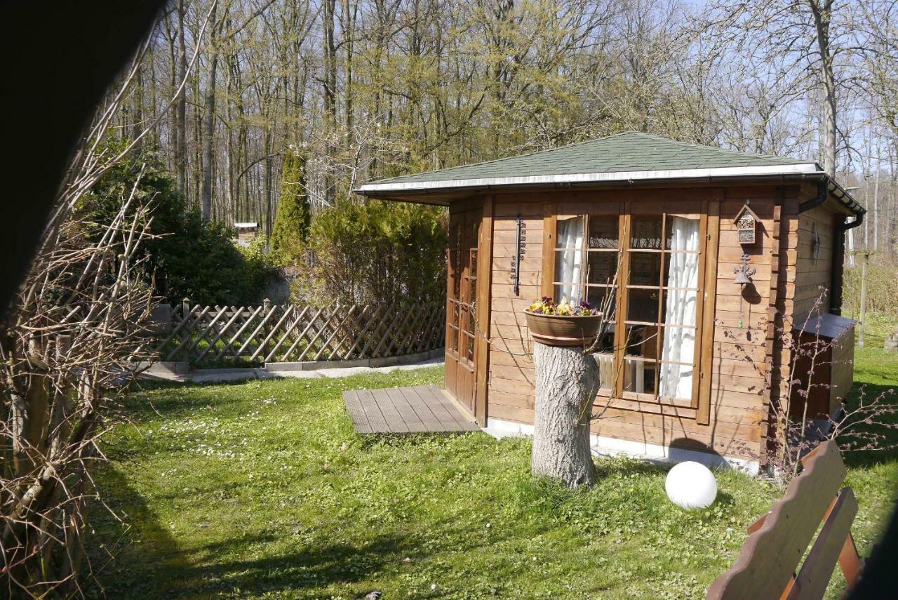 Wohnung 1 Ostseebad Nienhagen Exterior foto